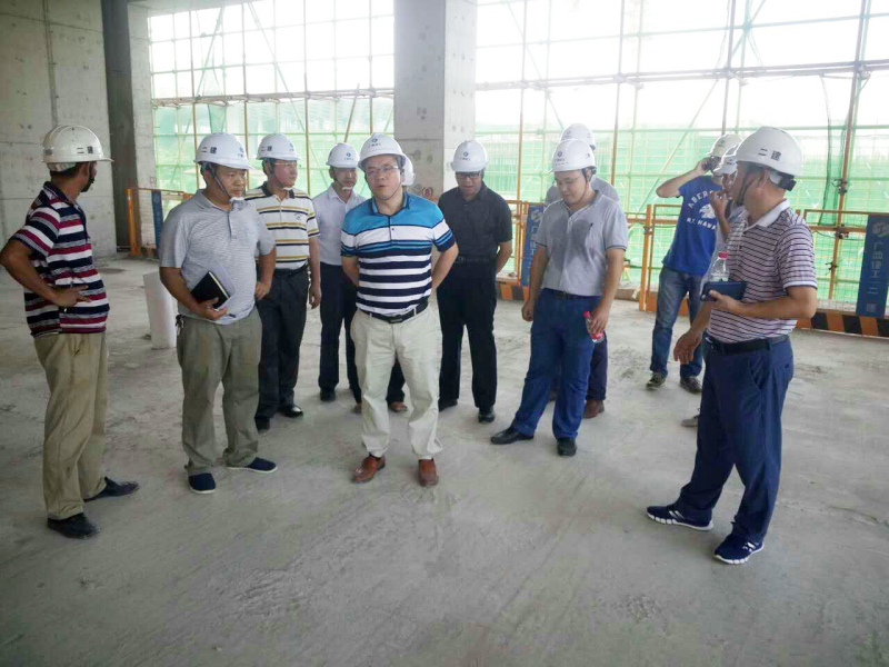 林总监现场检查_编辑.jpg