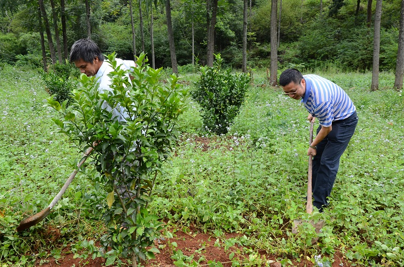 1506781889529376.jpg 徐总劳动.JPG