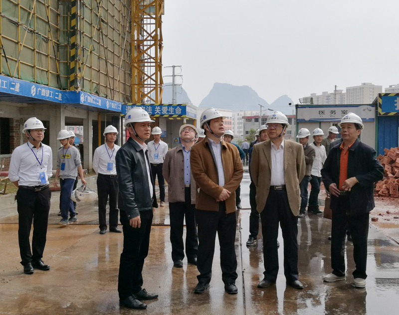 集团、建设厅领导到项目指导IMG_20171108_114452.jpg
