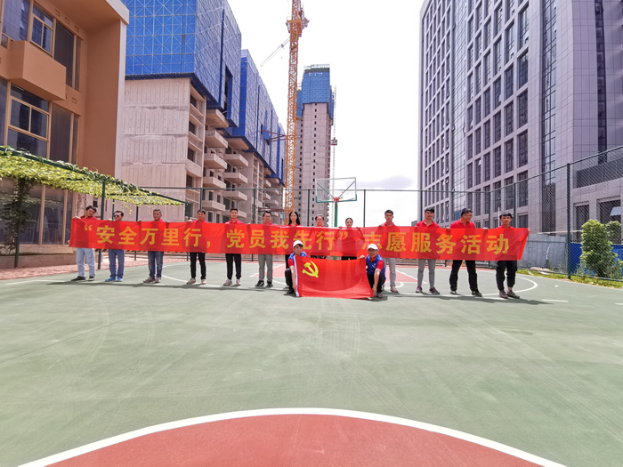 党员志愿活动.jpg