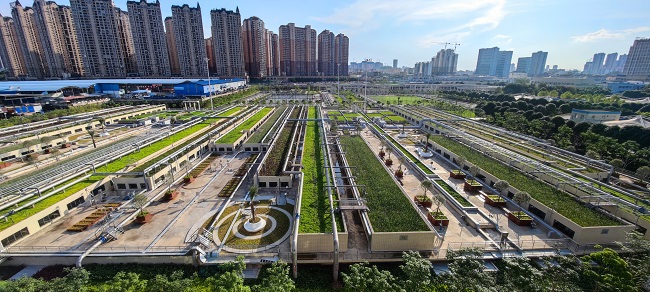 项目AAO生物池（原图）.jpg