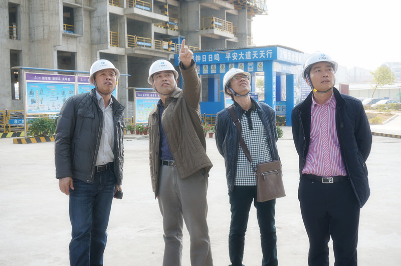 公司副调研员甘辉汉检查指导项目